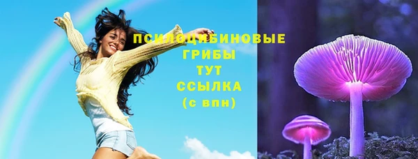 дурь Михайловск