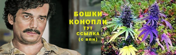 дурь Михайловск