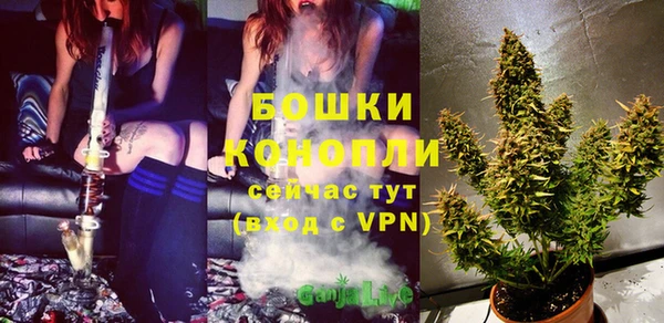дмт Надым