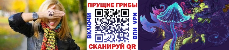 как найти закладки  omg как зайти  Галлюциногенные грибы мицелий  Абакан 