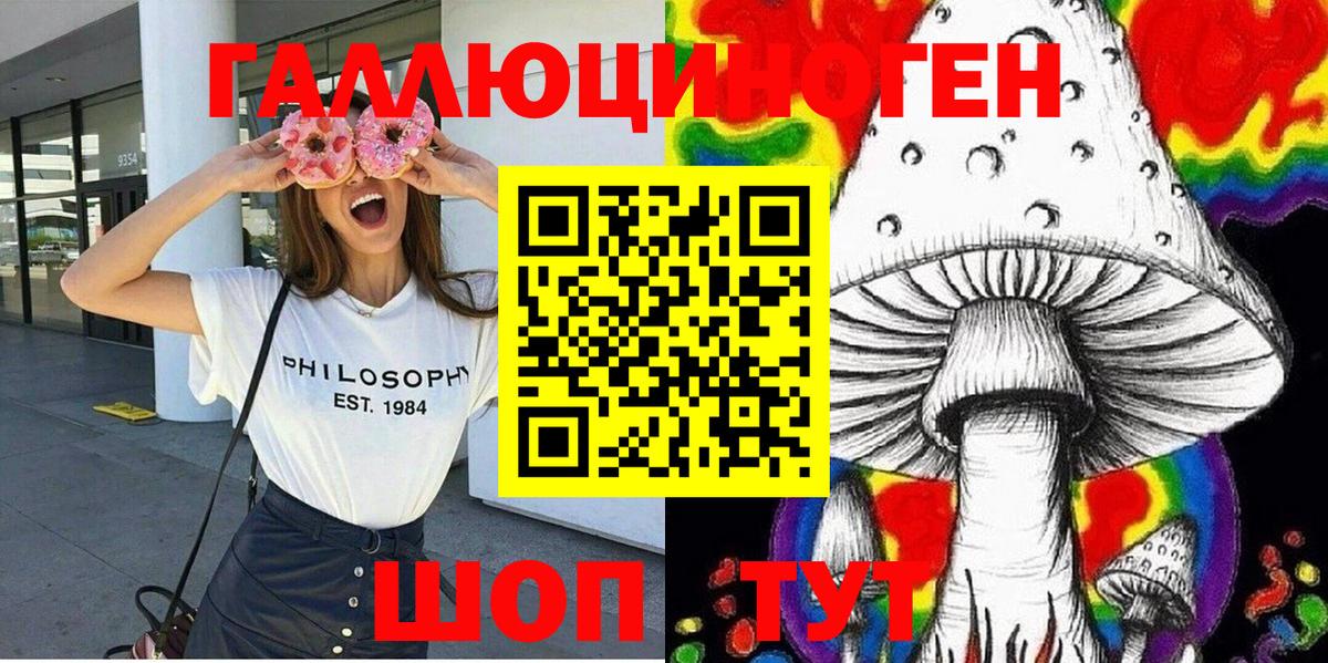 Псилоцибиновые грибы Psilocybine cubensis  Абакан  как найти закладки  Псилоцибиновые грибы Psilocybine cubensis 