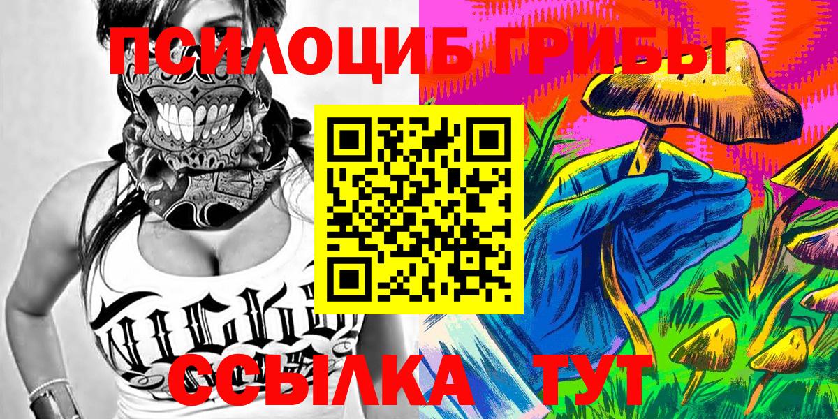 Галлюциногенные грибы Cubensis Абакан